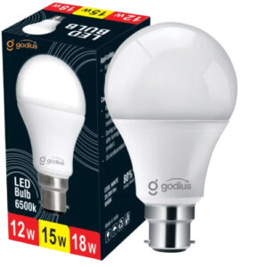 12Watt White Led Bulb